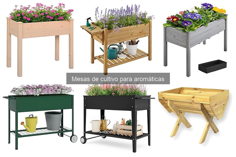 ¿Qué es una mesa de cultivo para aromáticas? Ventajas y usos