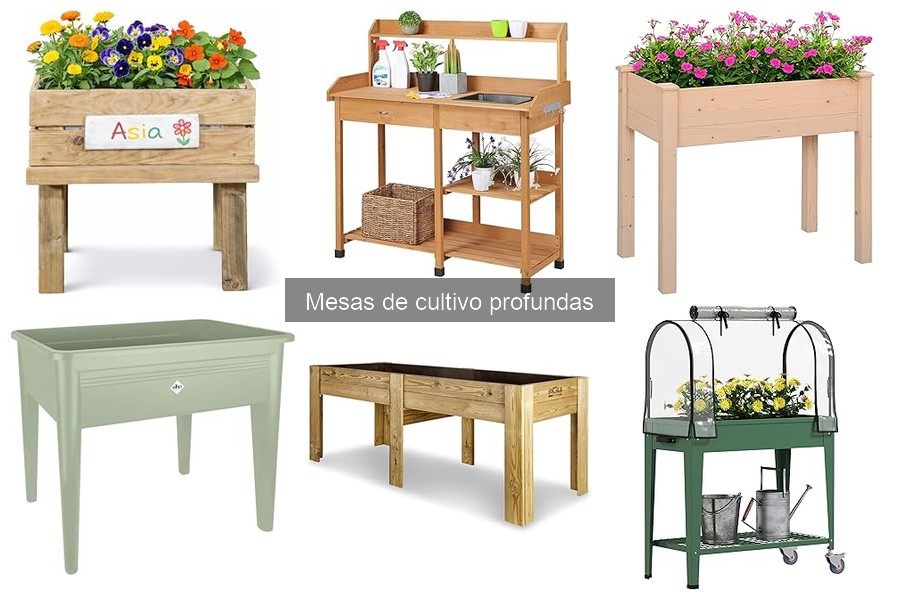 ¿Qué es una mesa de cultivo profunda? Guía y beneficios
