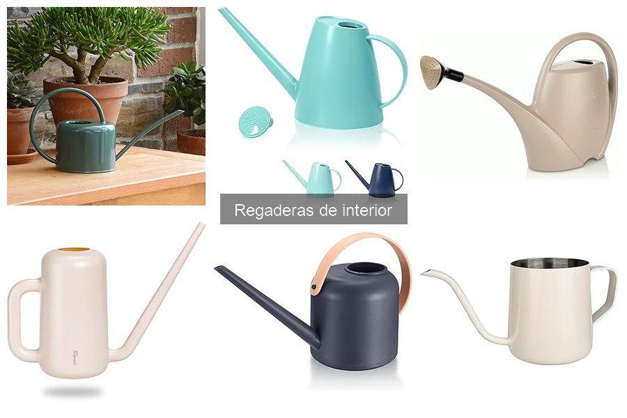 ¿Qué es una regadera de interior? Funciones y ventajas