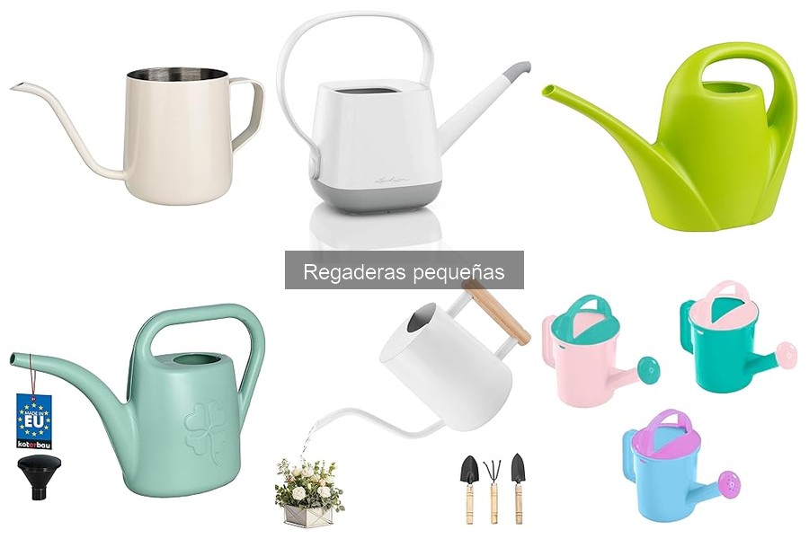 ¿Qué es una regadera pequeña? Características y usos