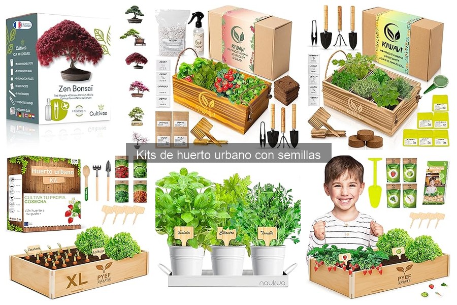 ¿Qué hacer si no germinan las semillas de tu huerto urbano?