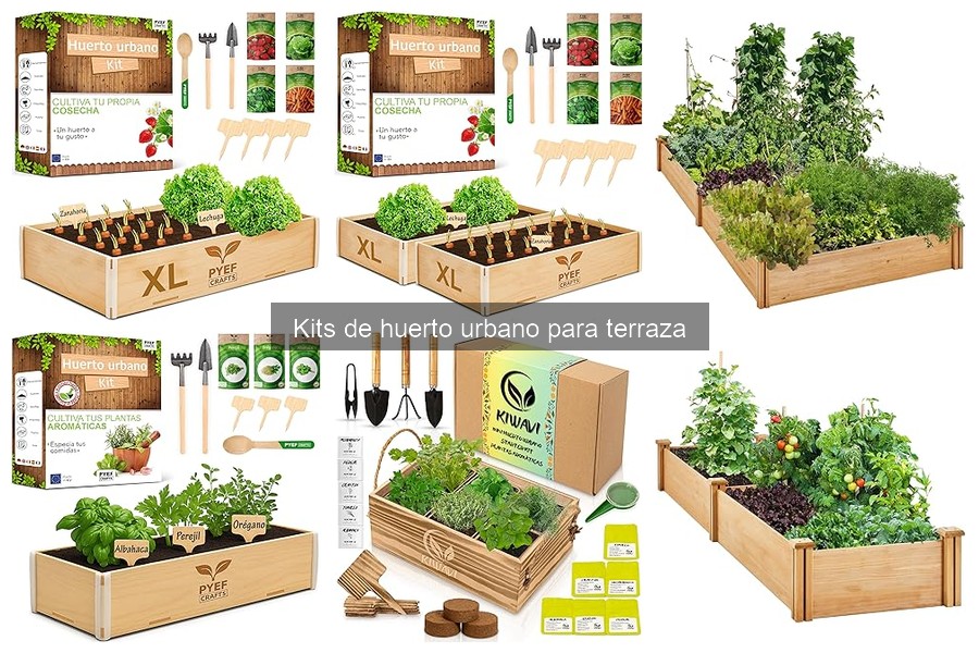 ¿Qué incluir en un kit de huerto urbano para tu terraza?