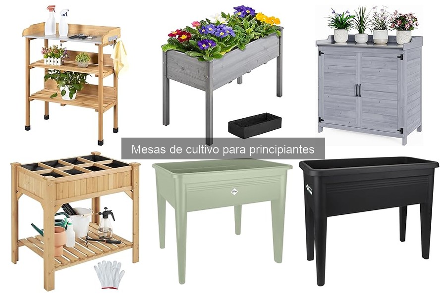 ¿Qué plantar en una mesa de cultivo? Plantas ideales para principiantes