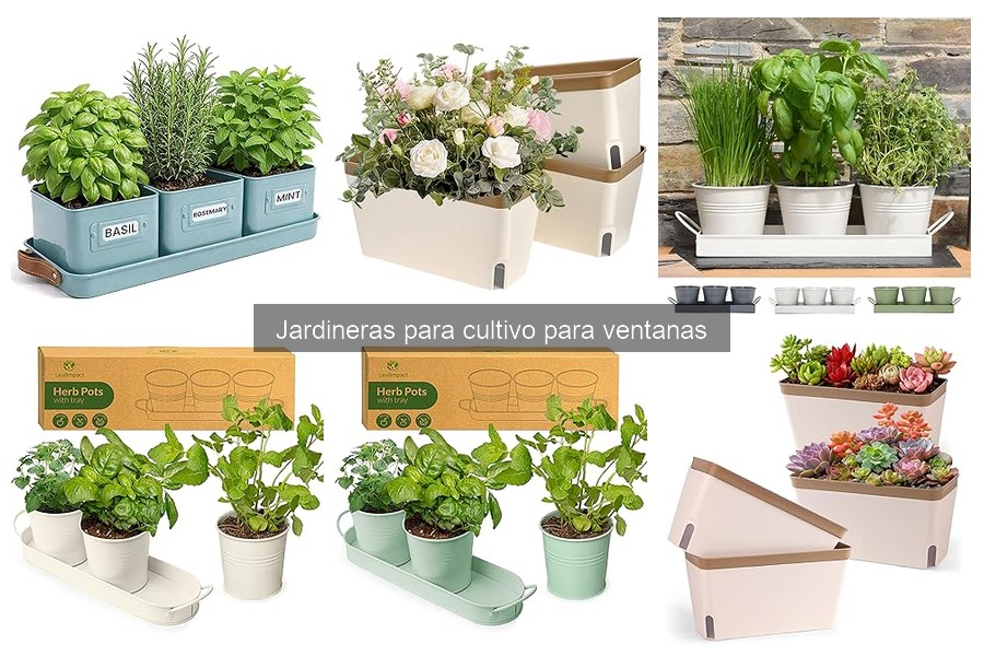 ¿Qué son las jardineras para cultivo en ventanas?