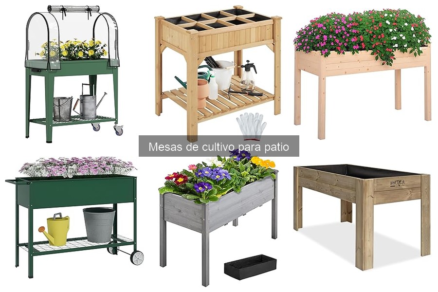¿Qué son las mesas de cultivo para patio? Descubre sus ventajas