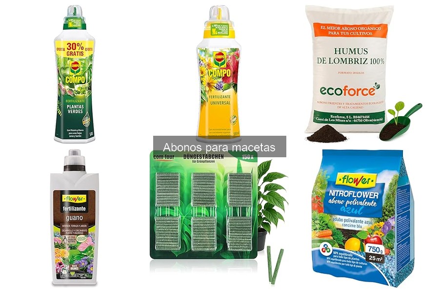 ¿Qué son los abonos para macetas? Descubre su importancia