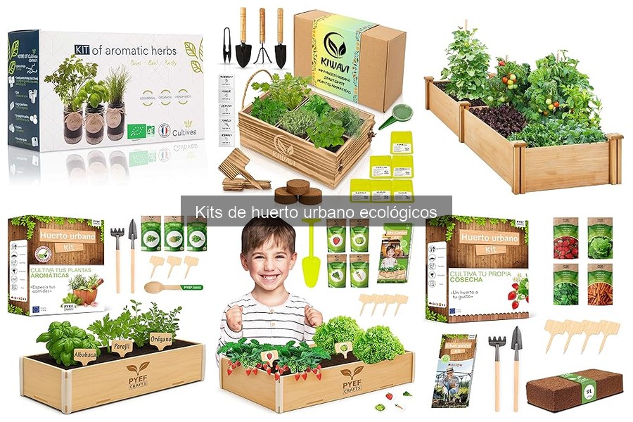 ¿Qué son los kits de huerto urbano ecológicos?