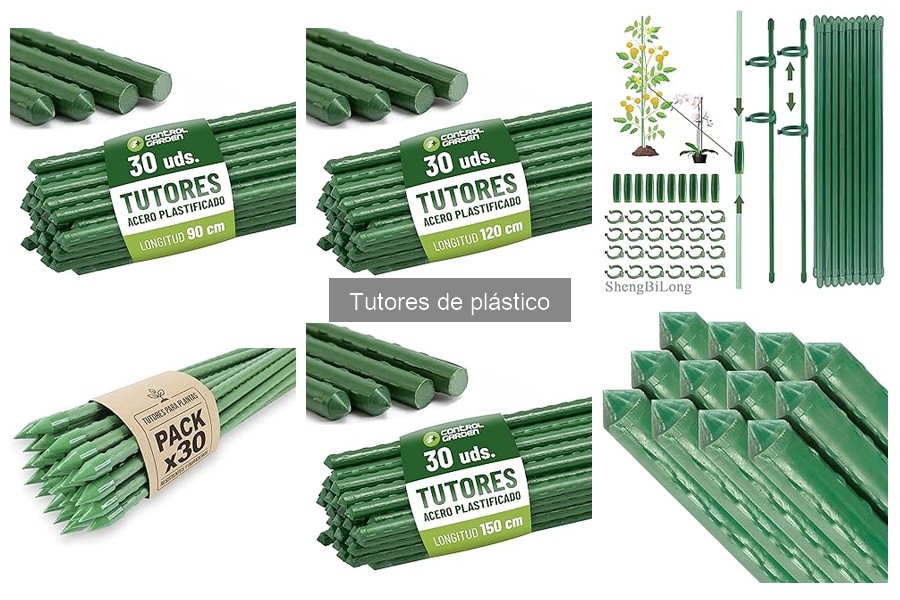 ¿Qué son los tutores de plástico para plantas? Guía para principiantes