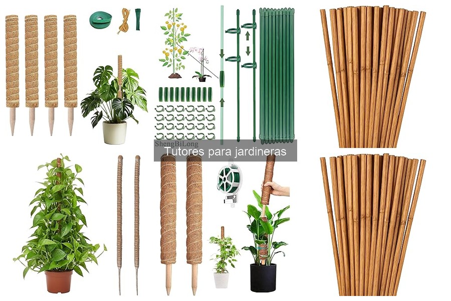 ¿Qué son los tutores para jardineras? Guía básica
