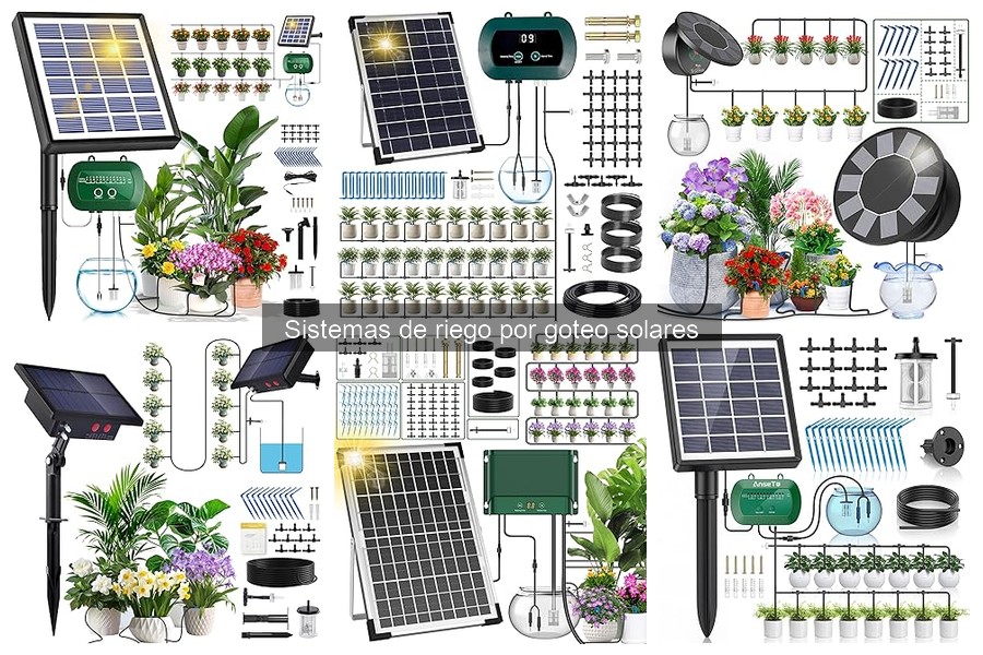 ¿Qué tamaño de depósito necesitas para riego por goteo solar?