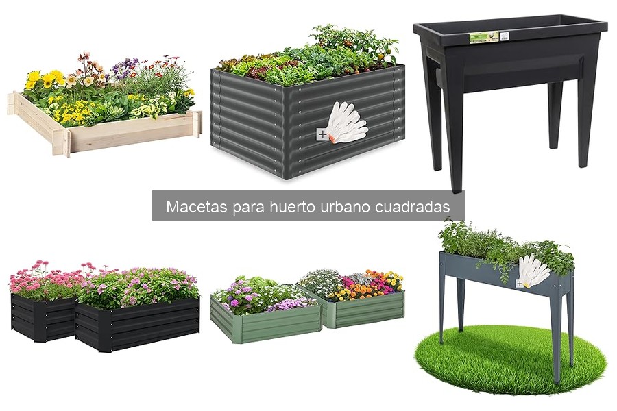 Recicla tus macetas cuadradas viejas: Ideas creativas y prácticas