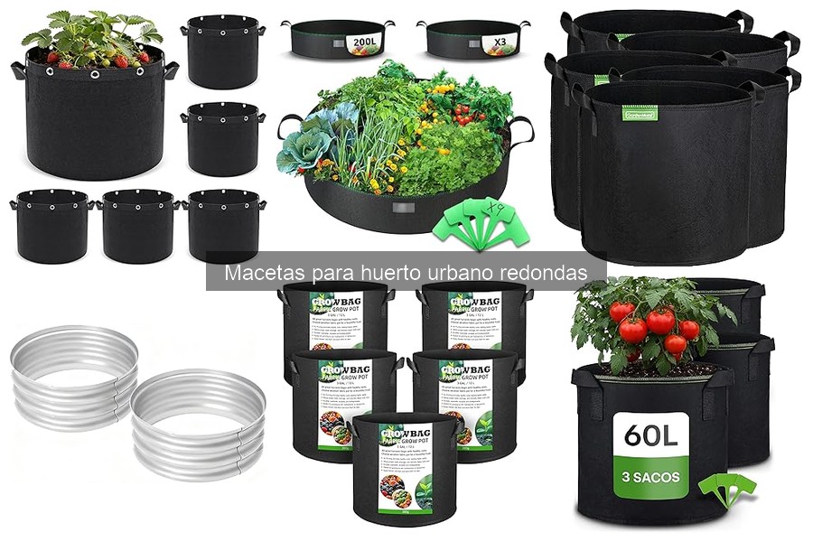 Reciclar macetas redondas: consejos para cultivo urbano