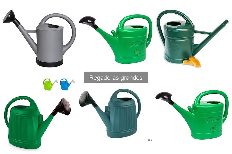 Regaderas grandes recomendadas para riego eficaz de plantas