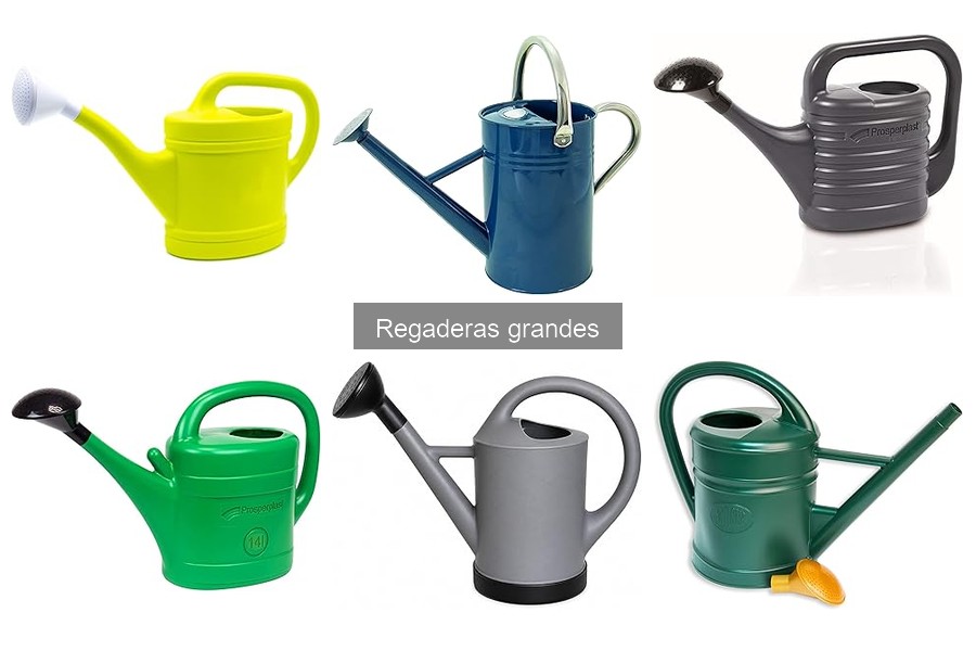 Regaderas grandes vs sistemas de riego automáticos: ¿Cuál elegir?