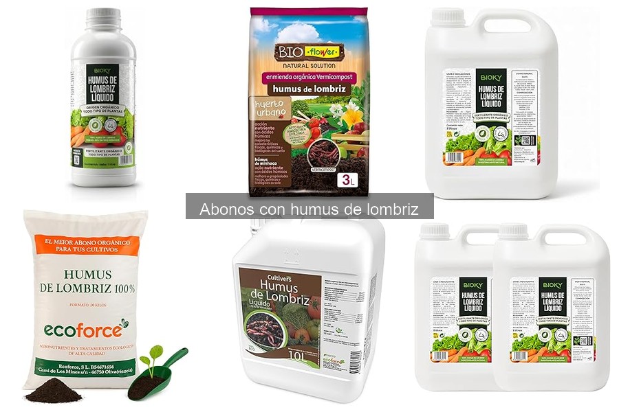 Resultados al usar humus de lombriz en tu huerto urbano