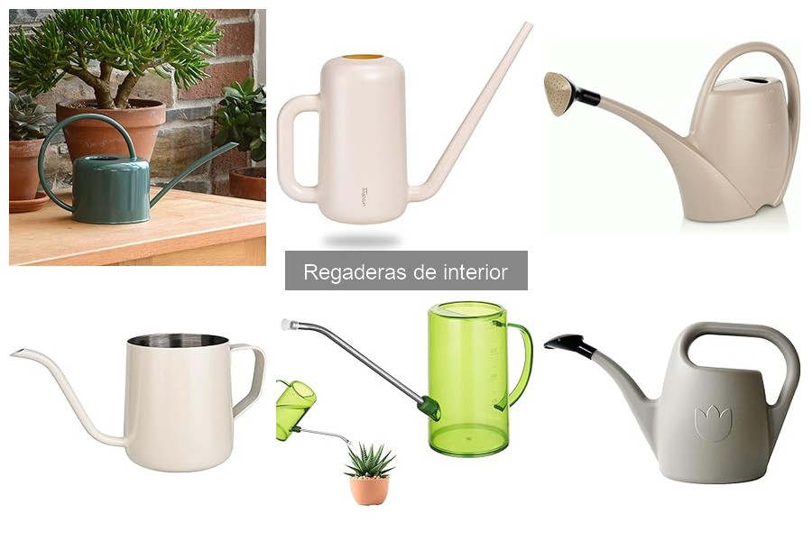 Riego de Plantas de Interior: Frecuencia y Técnica con Regadera