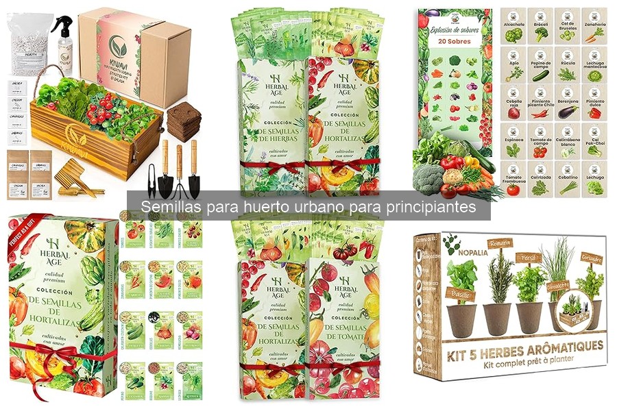 Semillas recomendadas para huertos urbanos en la ciudad
