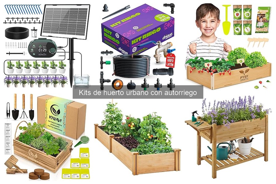 Soluciona Problemas Comunes con Kits de Huerto Urbano