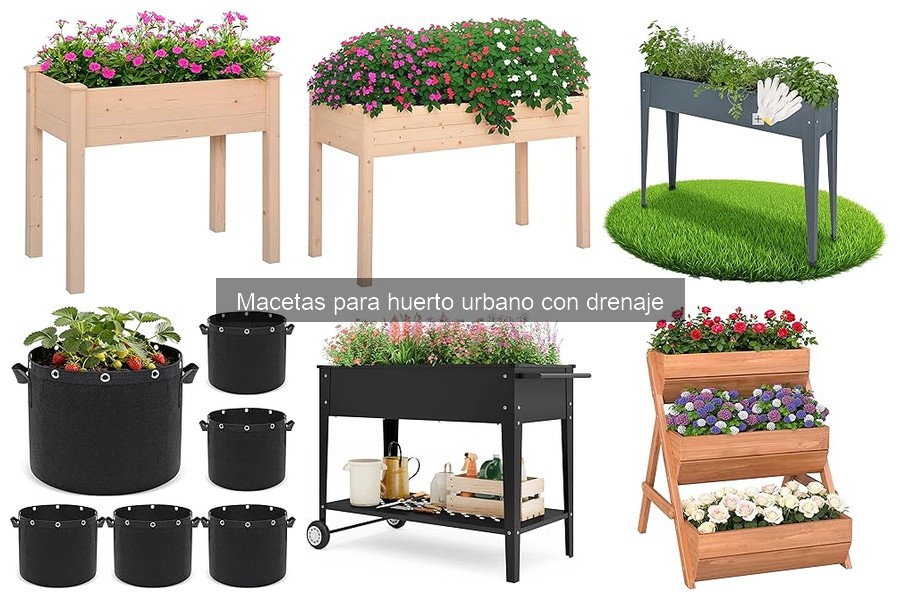 Soluciones para problemas de mal drenaje en macetas