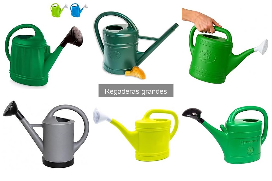Soluciones para problemas de riego con regaderas grandes