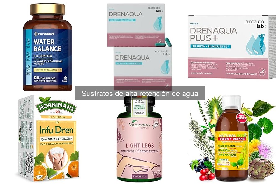 Sustratos de alta retención de agua: ¿son ideales para tus plantas?