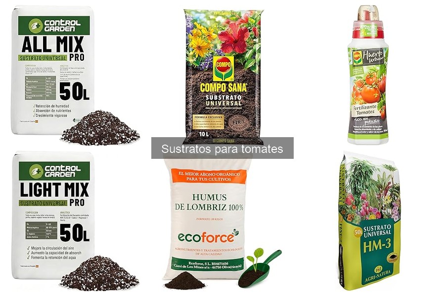 Sustratos ideales para tomates en cultivo hidropónico