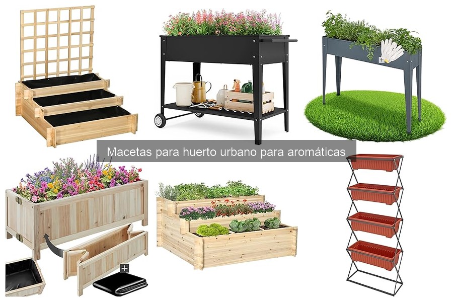 Tamaño ideal de macetas para plantas aromáticas en huertos urbanos