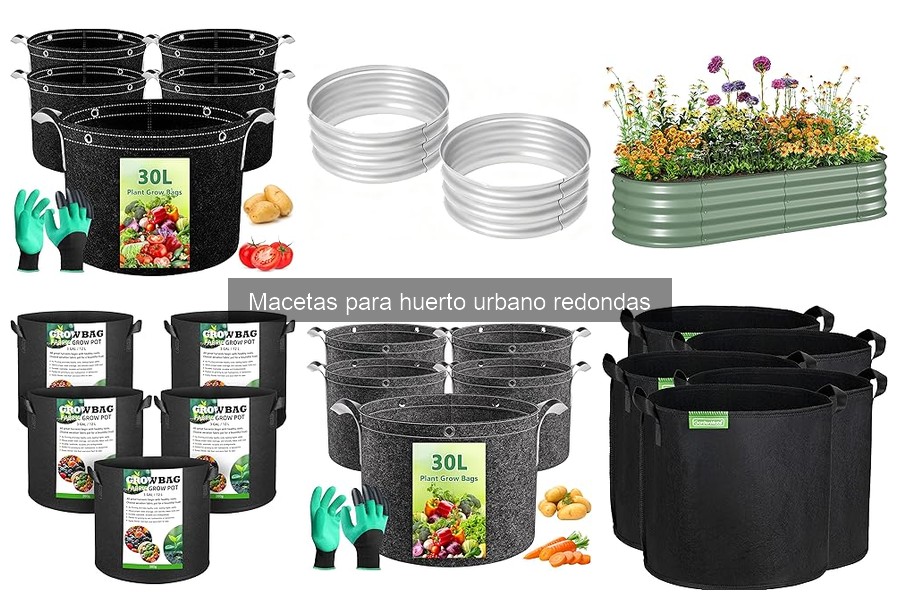 Tamaños ideales de macetas redondas para tus plantas