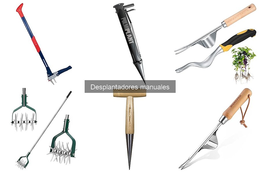 Técnicas de siembra con desplantadores manuales en casa