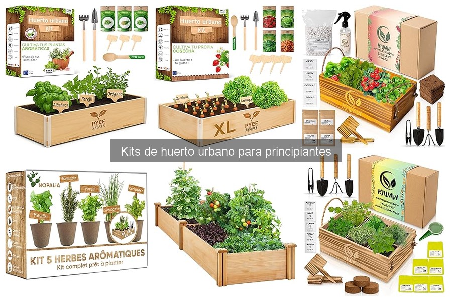 Tests de Germinación de Kits de Huerto Urbano para Principiantes