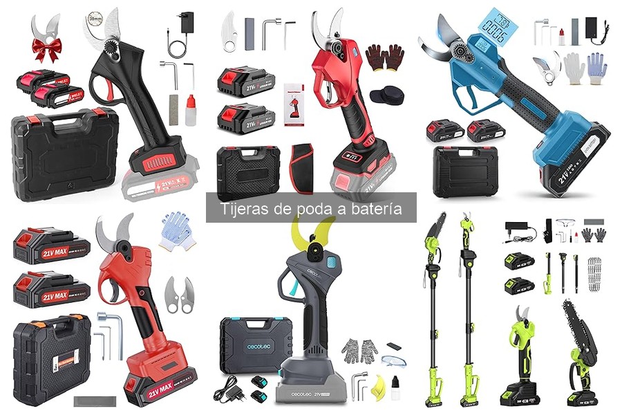 Tijeras de poda a batería: su uso en huertos urbanos