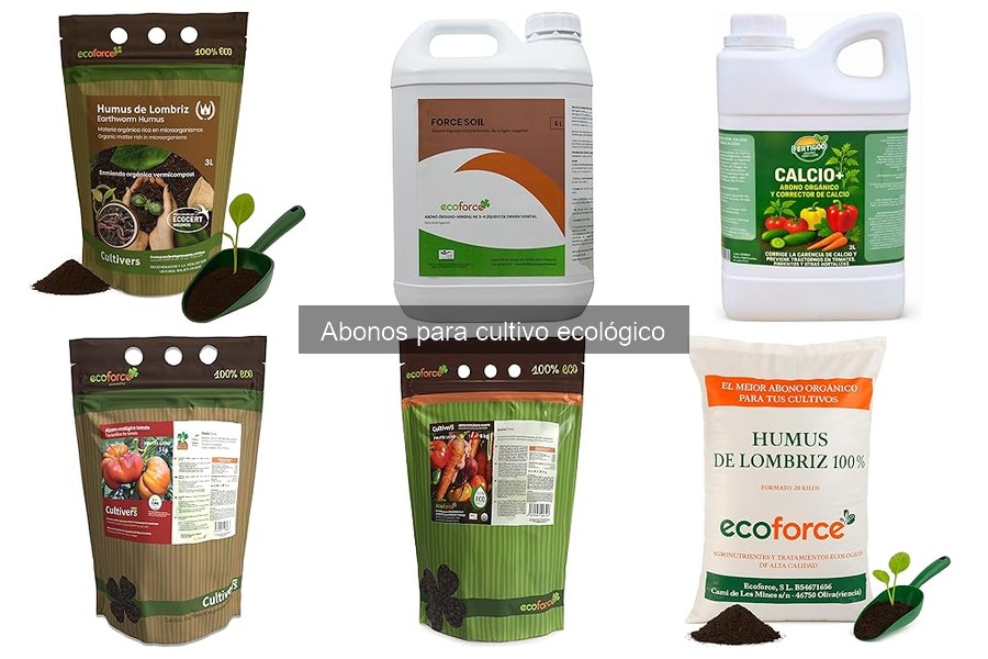 Tipos de abonos ecológicos para cultivos caseros