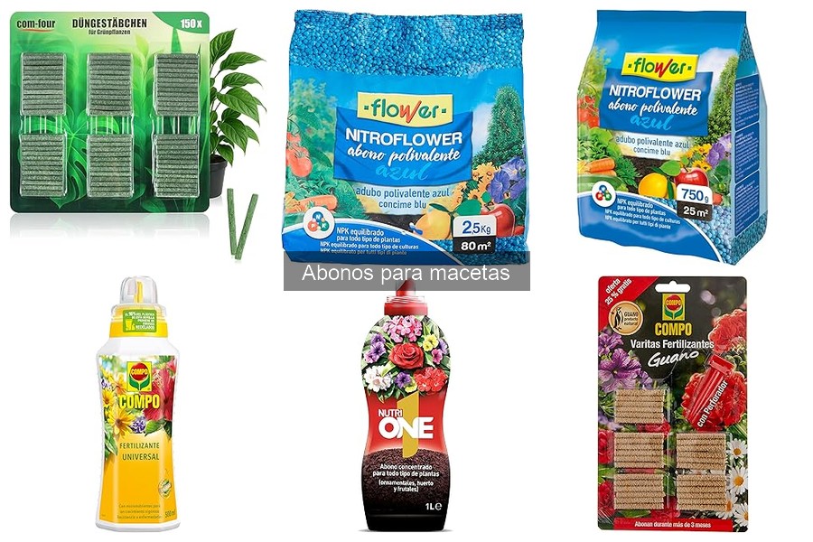 Tipos de abonos para macetas: características y beneficios