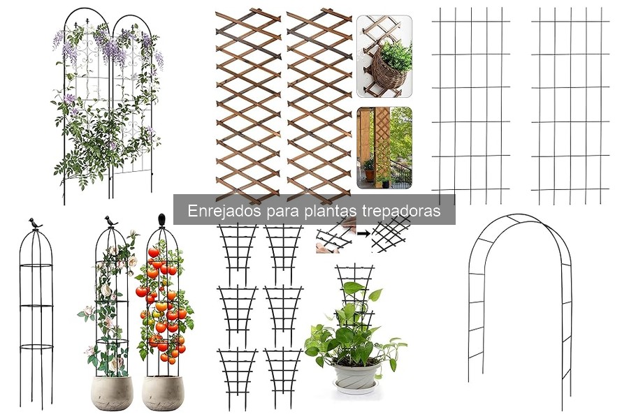 Tipos de enrejados para plantas trepadoras: diseños y materiales