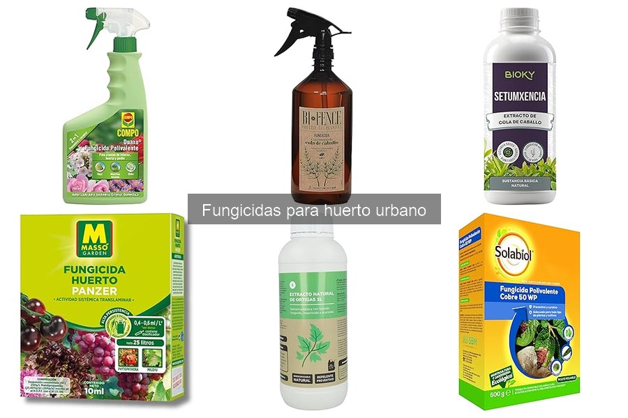 Tipos de fungicidas para huerto urbano: guía completa