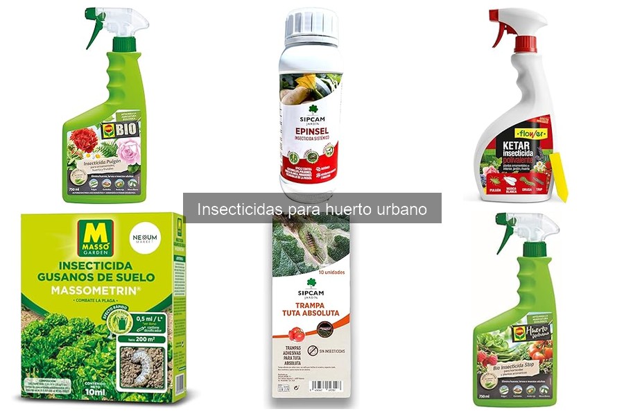 Tipos de insecticidas para huerto urbano: opciones efectivas