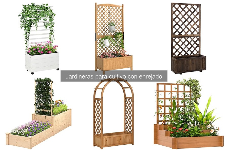Tipos de jardineras con enrejado para cultivo urbano