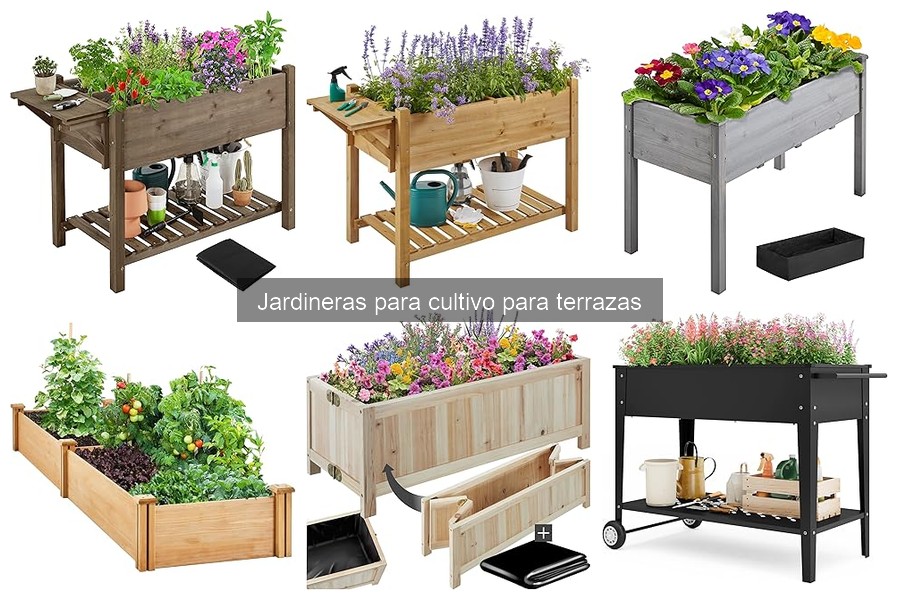 Tipos de jardineras para cultivar en terrazas: Guía completa