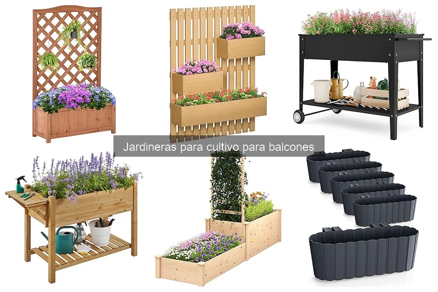 Tipos de jardineras para cultivo en balcones: guía completa