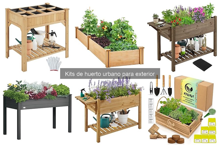 Tipos de kits de huerto urbano para exterior: Guía completa