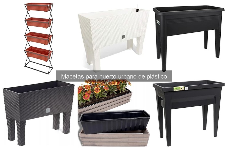 Tipos de macetas de plástico para cultivar en casa