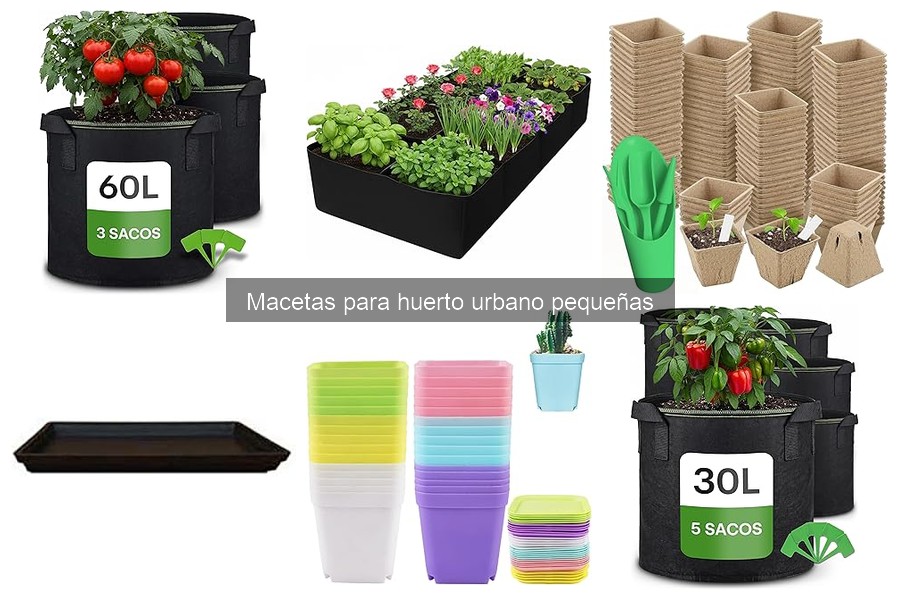 Tipos de macetas pequeñas para huerto urbano