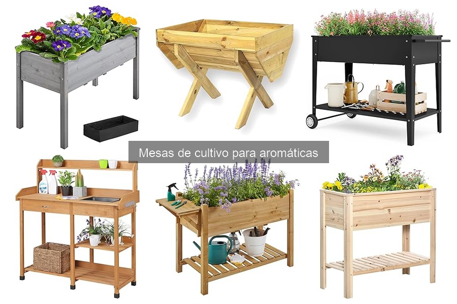 Tipos de mesas de cultivo para hierbas aromáticas