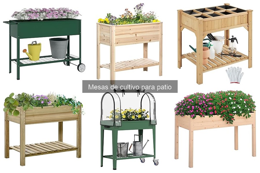 Tipos de mesas de cultivo para patio: guía completa