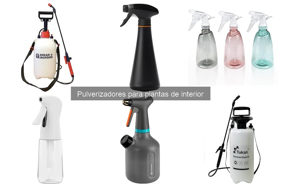 Tipos de pulverizadores para plantas de interior y sus usos