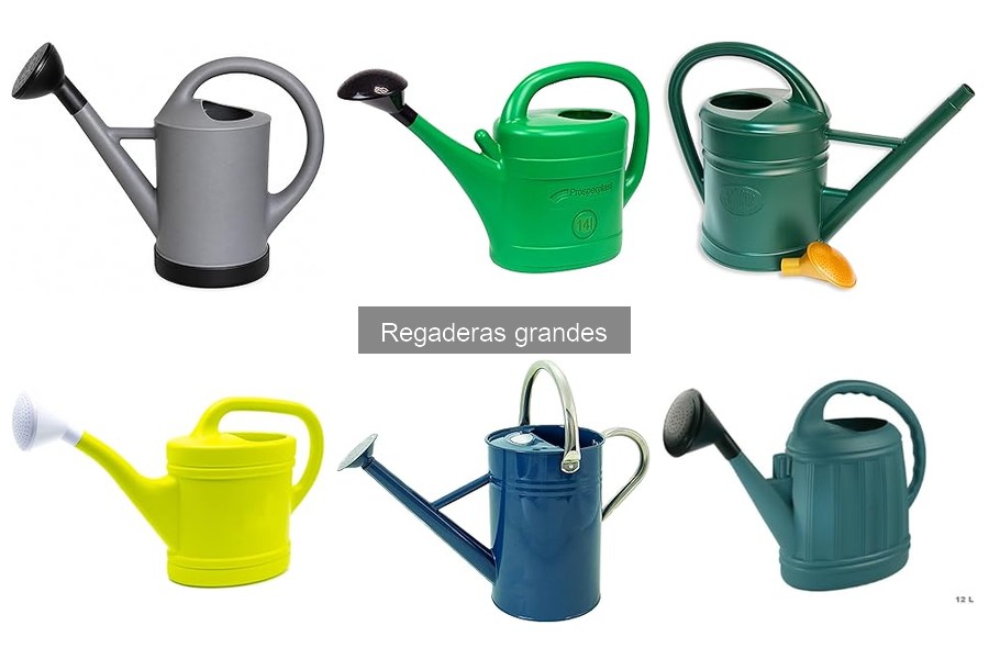 Tipos de regaderas grandes para huertos urbanos