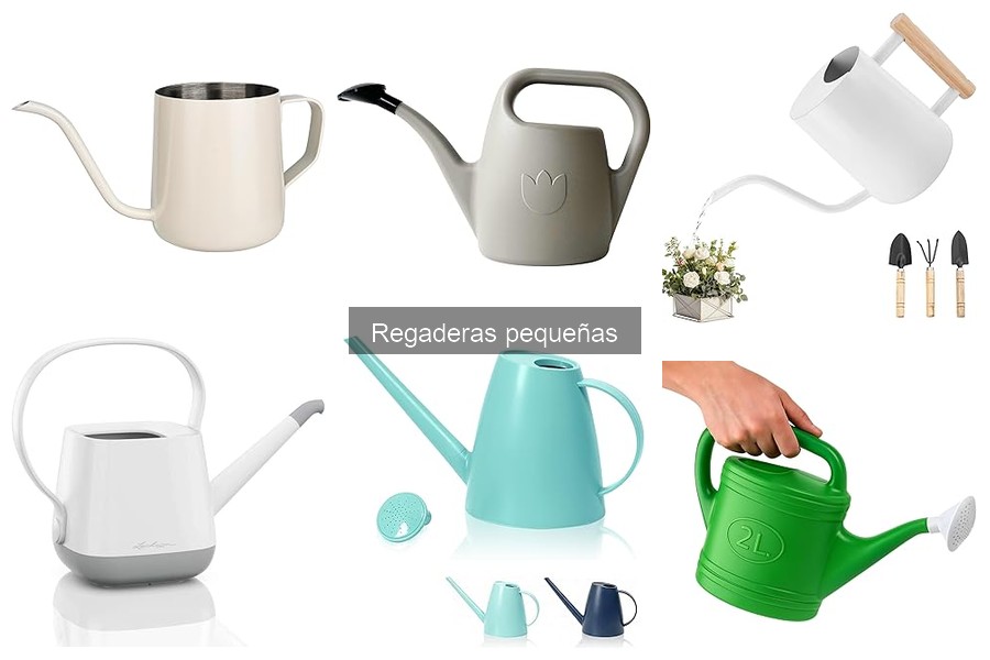 Tipos de regaderas pequeñas: materiales y ventajas
