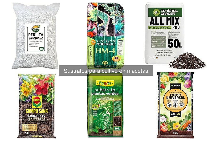 Tipos de sustratos para cultivo en macetas: guía completa
