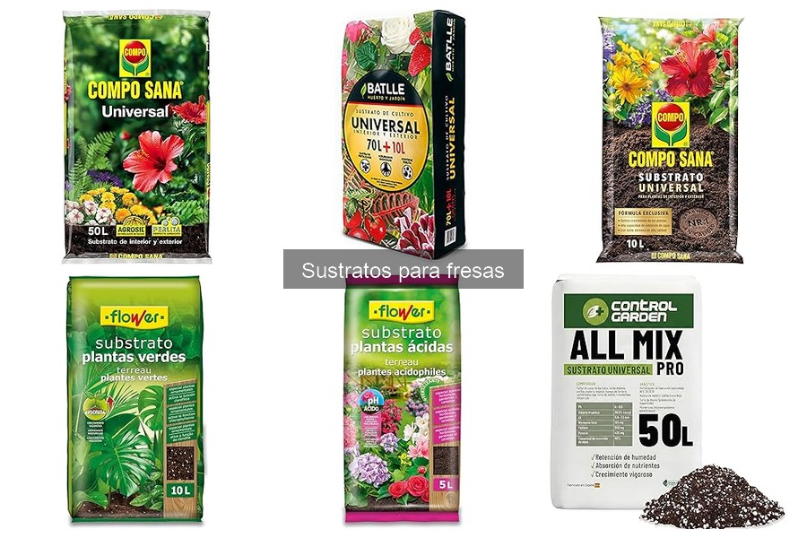 Tipos de sustratos para fresas y sus beneficios