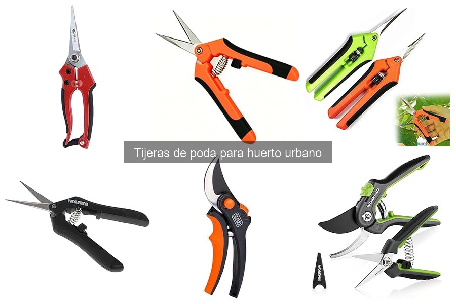 Tipos de tijeras de poda para huertos urbanos: guía completa
